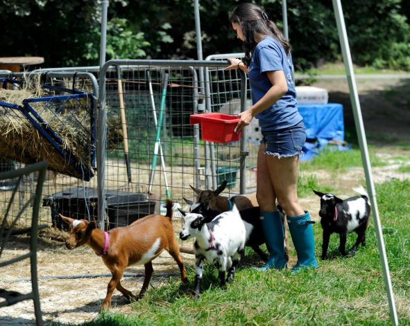 Child smelling flower
